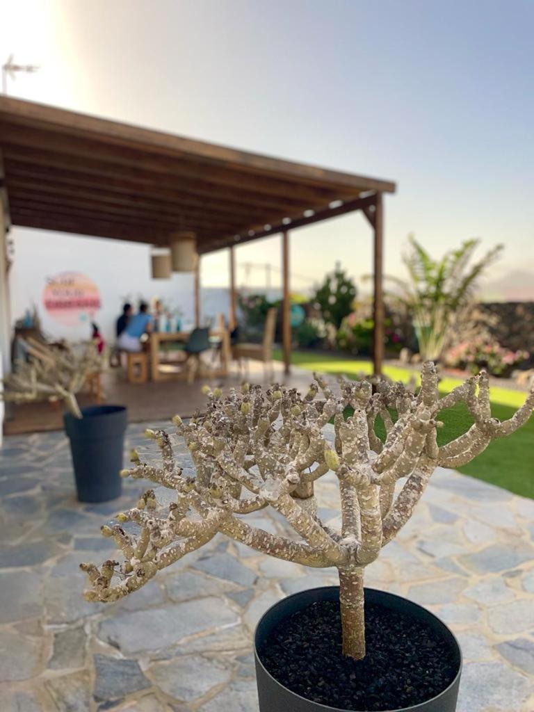 Agua Guesthouse Lajares Villa Con Jacuzzi Экстерьер фото